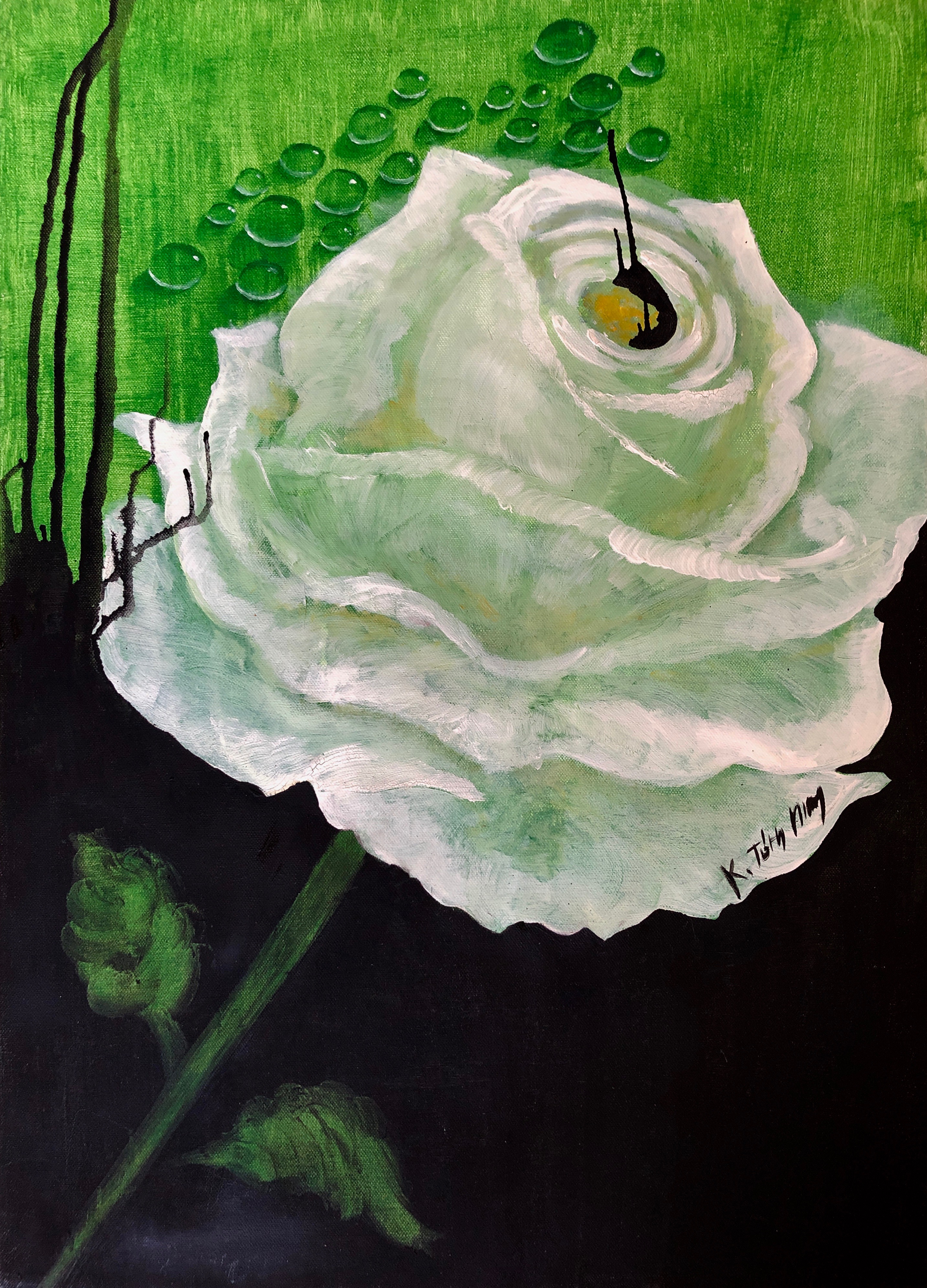 Fájó fehér rózsa